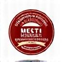 Logo MESTI